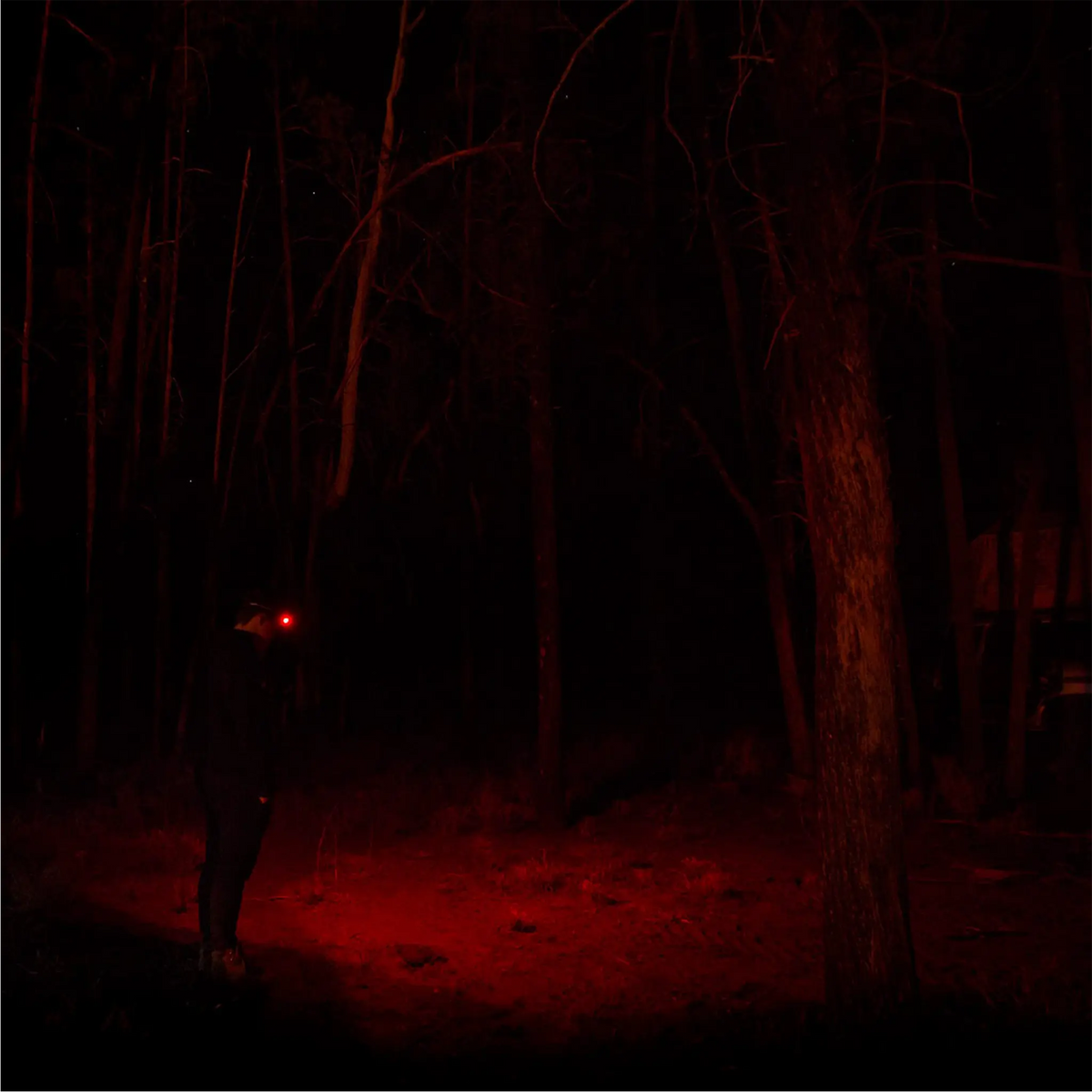 Hardkorr 335 lumen headtorch casting red light across the ground and trees at night.
