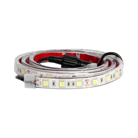 LED Lights