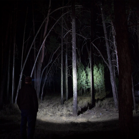 Hardkorr 145 lumen headtorch casting a white beam onto trees and the forest floor at night.