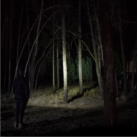 Hardkorr 155 lumen slimline headtorch lighting tree trunks and the ground at night.