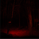 Hardkorr 335 lumen headtorch casting red light across the ground and trees at night.