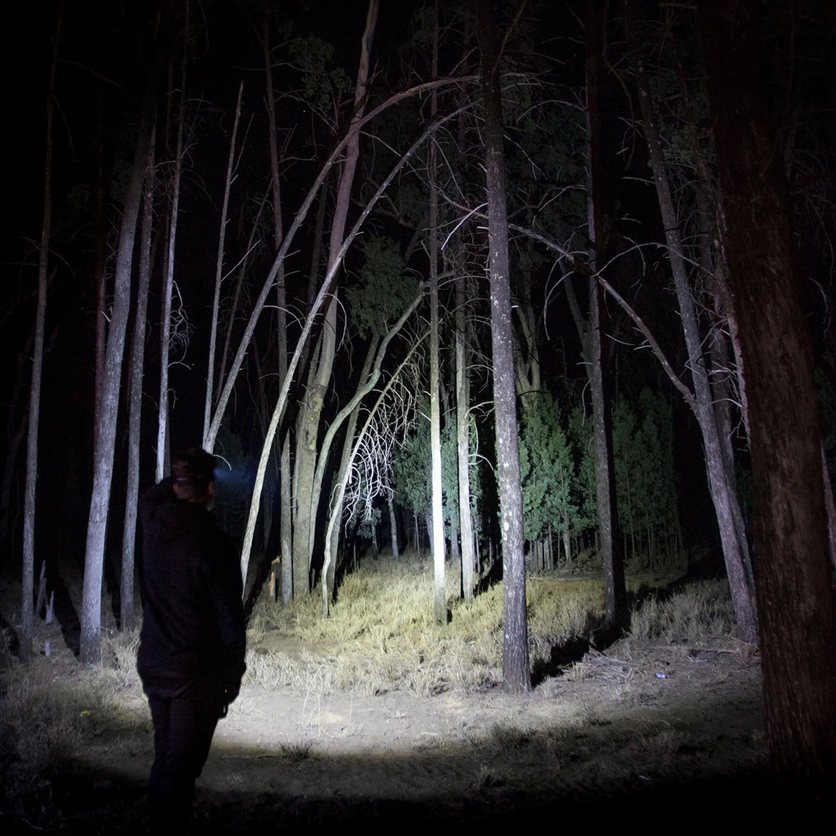 Hardkorr 335 lumen headtorch casting a white beam through trees at night.