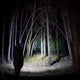 Hardkorr 335 lumen headtorch casting a white beam through trees at night.