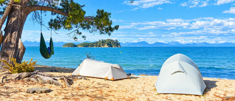 Tents and a hammock under a tree on a sandy beach
