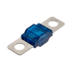 Rekcharge 100A Midi fuse angled view with transparent blue housing and two silver mounting tabs.