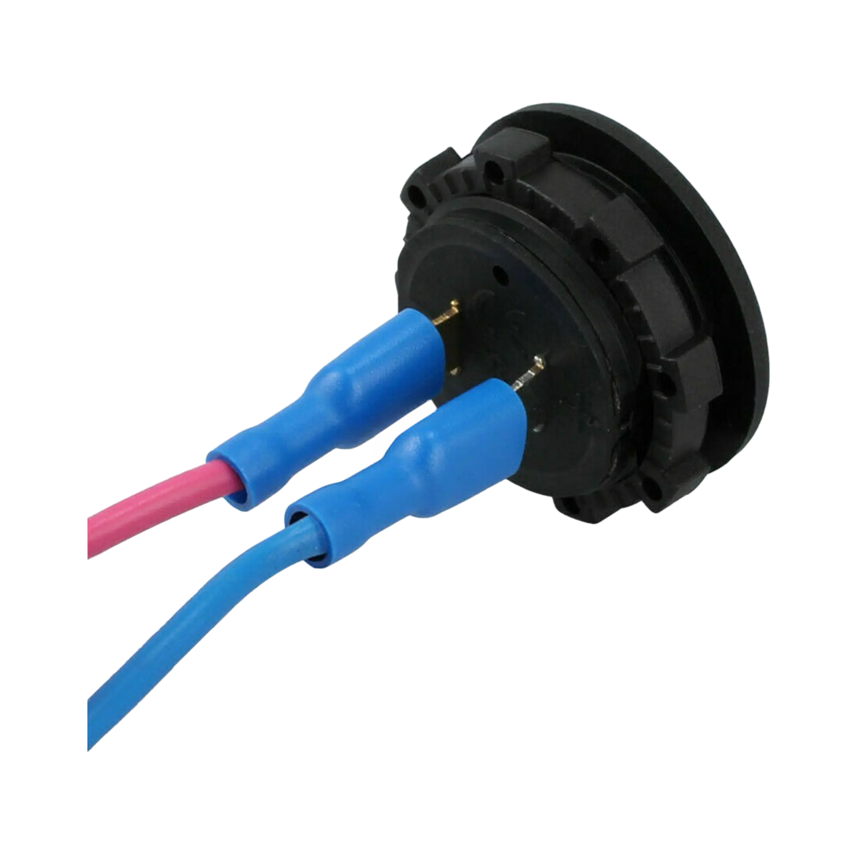 Rekcharge 12V voltmeter socket rear view with positive and negative wires connected using blue insulated terminals.