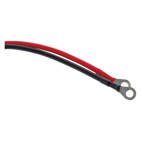 Rekcharge 20cm Anderson adaptor cable detail with red and black leads crimped to round ring lugs.